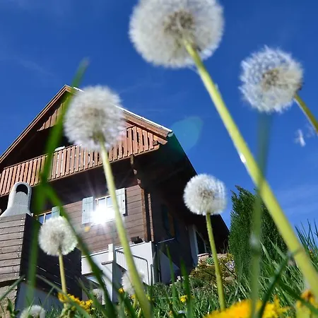Kroell-Hube Sankt Johann im Saggautal Exterior photo